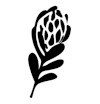 protea